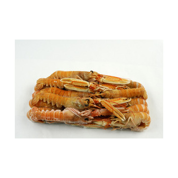 Scampi 17/20 Confezioni 500gr