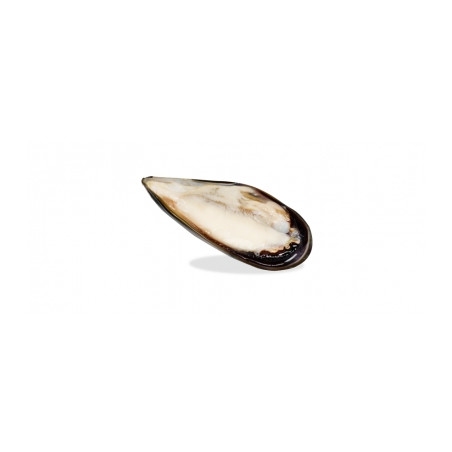 Cozze Ravenna fresche