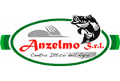 Anzelmo srl